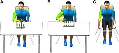 sEMG-Based Trunk Compensation Detection in Rehabilitation Training